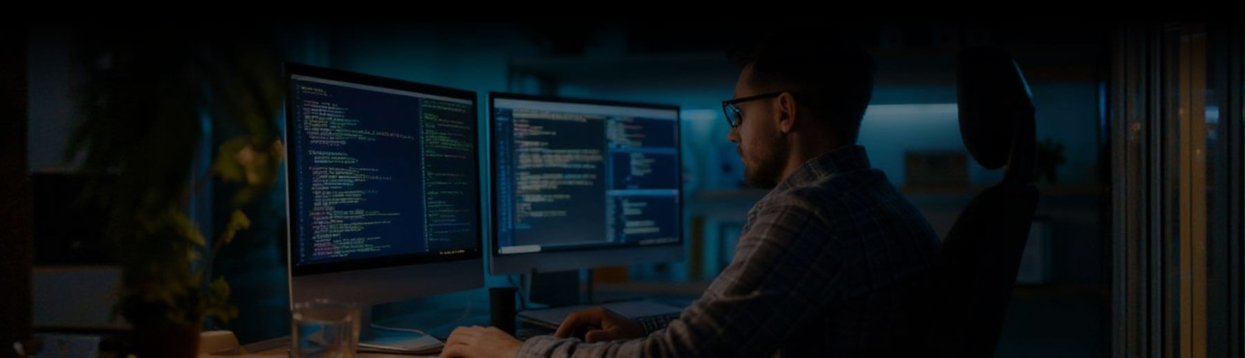 Custom Web Application Development