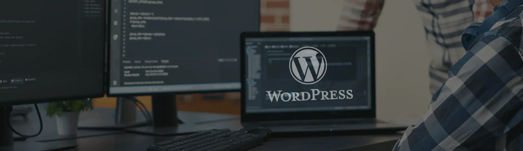 Custom Wordpress Development Services