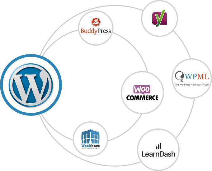 Custom Wordpress Development